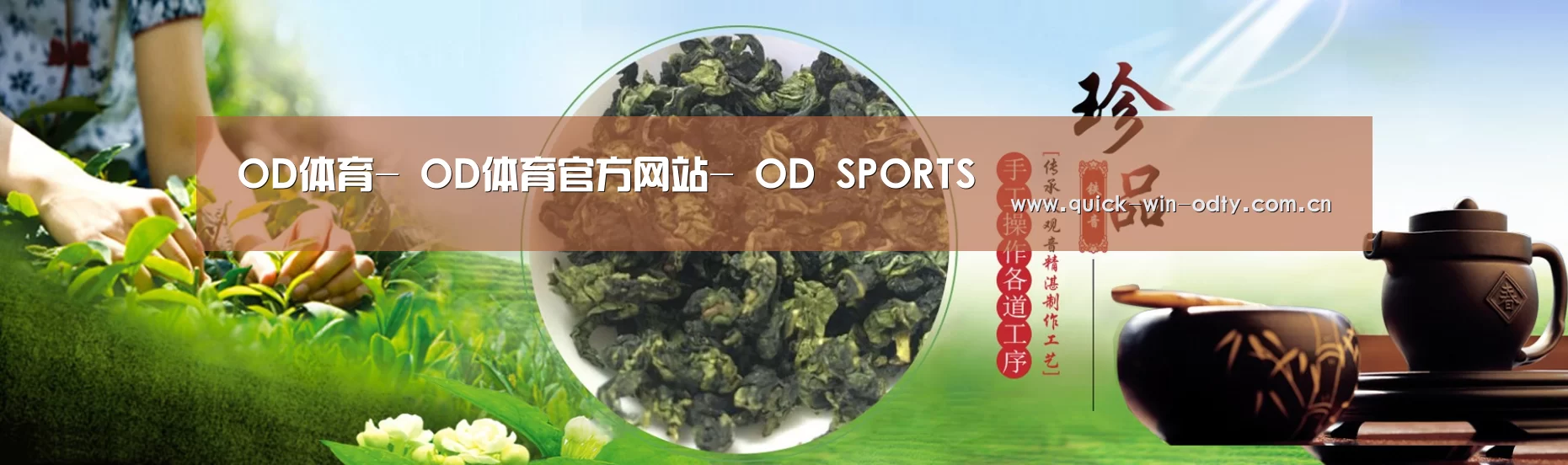易优Cms-演示站