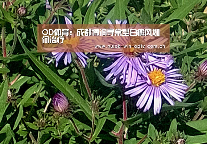 OD体育:成都博润寻常型白癜风如何治疗(图1) od官网