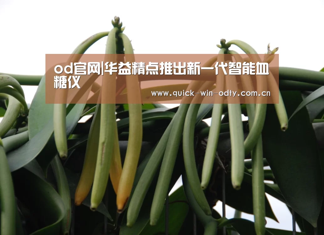 od官网|华益精点推出新一代智能血糖仪(图1) od官网