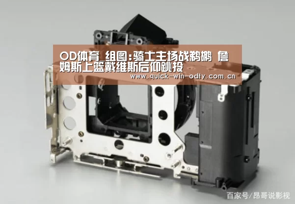 OD体育_组图:骑士主场战鹈鹕 詹姆斯上篮戴维斯后仰跳投(图1) OD体育