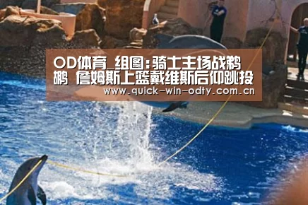 OD体育_组图:骑士主场战鹈鹕 詹姆斯上篮戴维斯后仰跳投(图4) OD体育