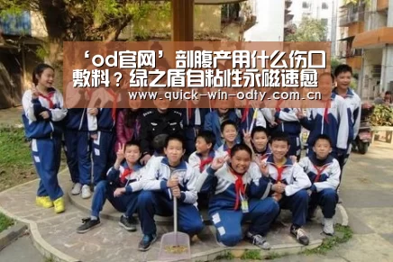 ‘od官网’剖腹产用什么伤口敷料?绿之盾自粘性永磁速愈贴(图2) od官网